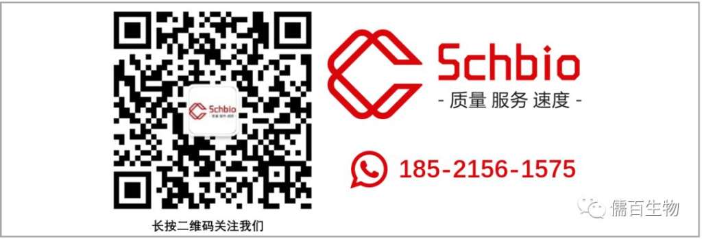 叫 回 5 匚 hbio - 质 量 服 务 速 度 - 185 · 2156 · 1575 长 按 二 维 码 关 注 我 们