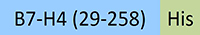 B74-H5222-STC2.jpg