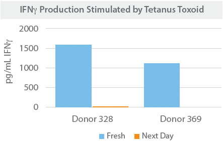 INF gamma production stimulated by tetanus toxoid