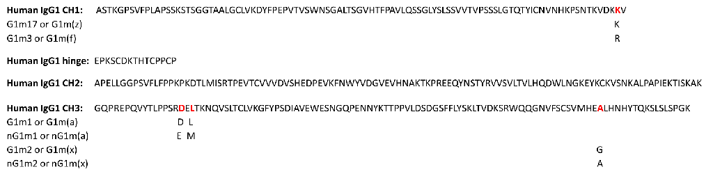 Allotype image